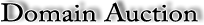 Domain Auction